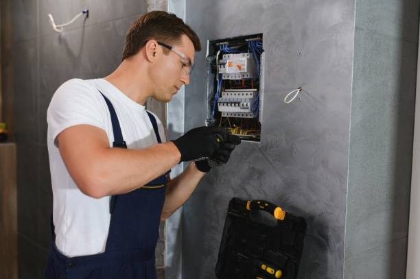 Best Electrician for Home Renovation  in Litchfield, IL